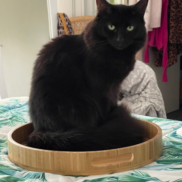 Meet your Posher, Kimberley - Picture 8 of 16